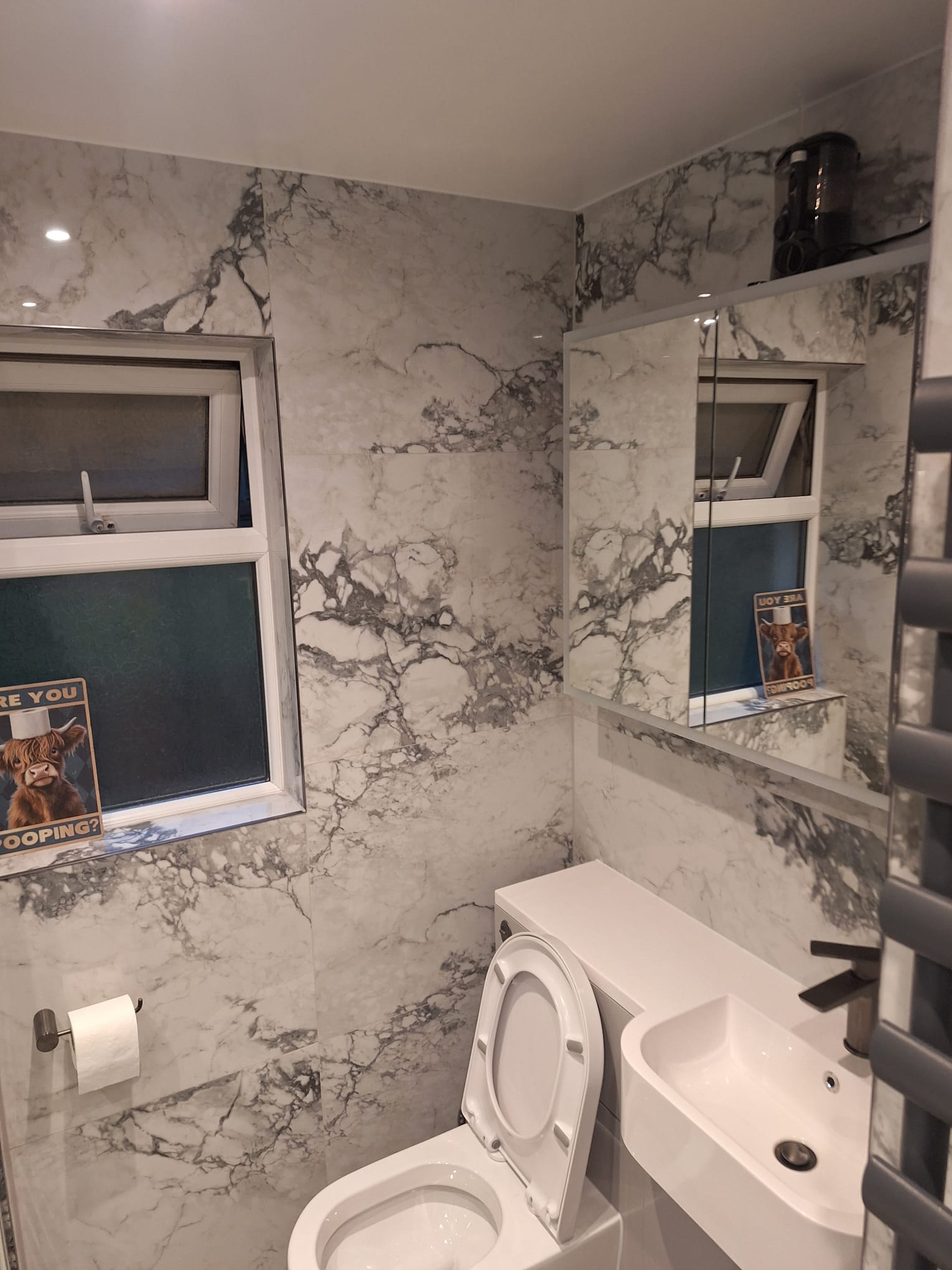 Bathroom finish detail